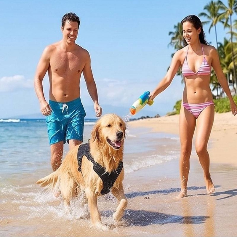 Harnais universel pour chien a - Food Snacks For Hiking avis et prix